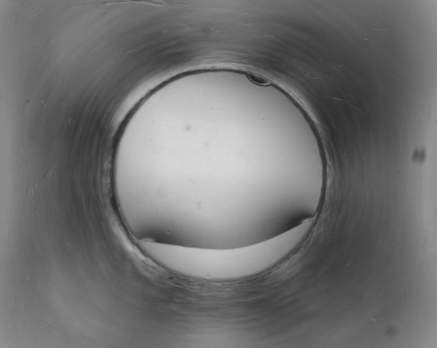 X0000112141101200908281311