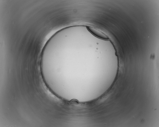 X0000112141102200908281311