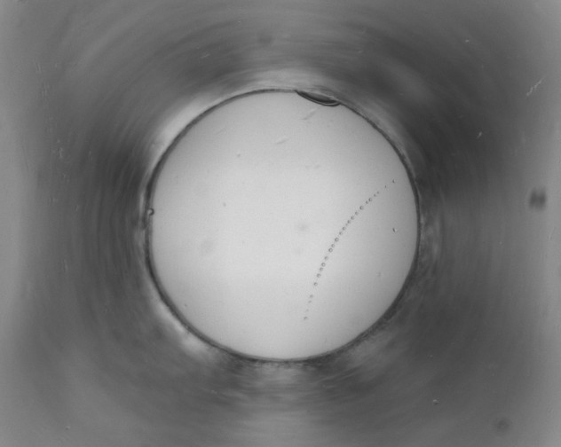 X0000112141103200908281311