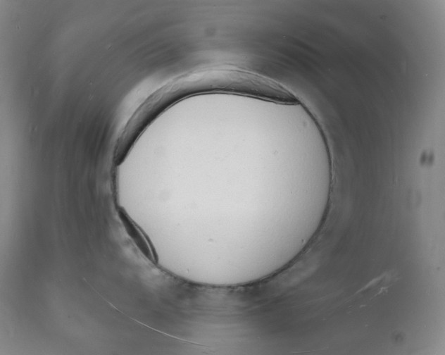 X0000112141104200908281311