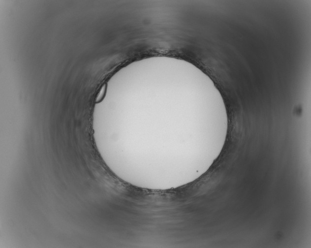 X0000112141105200908281310