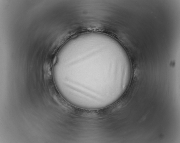 X0000112141106200908281310