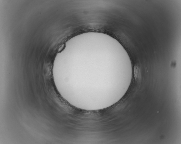 X0000112141107200908281310