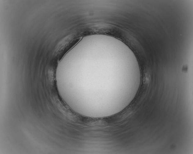 X0000112141108200908281310