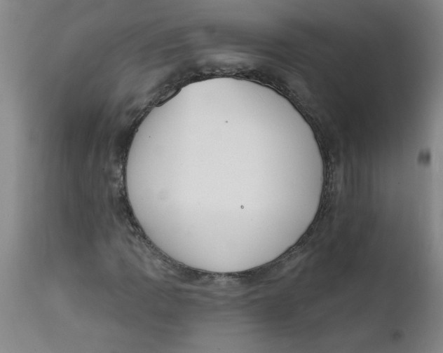 X0000112141109200908281310