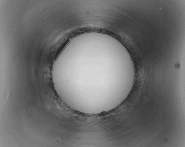 X0000112141110200908281310