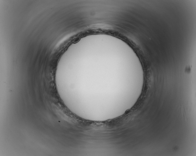 X0000112141112200908281310