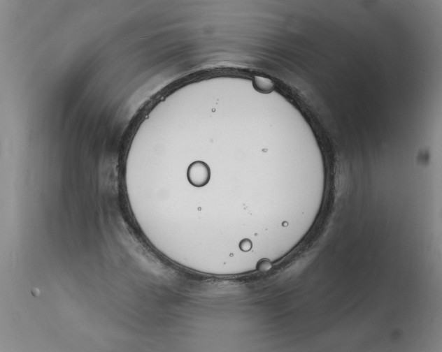 X0000112141113200908281310