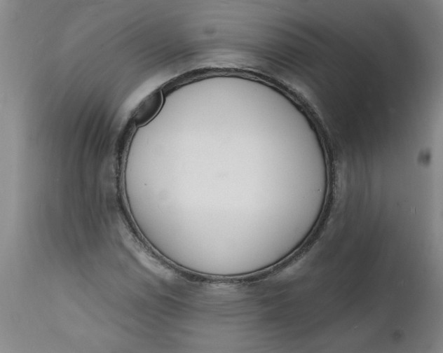 X0000112141114200908281310