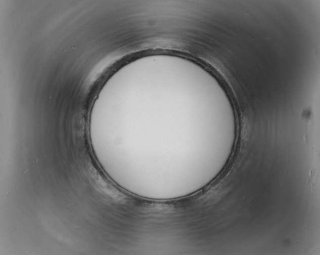 X0000112141115200908281310