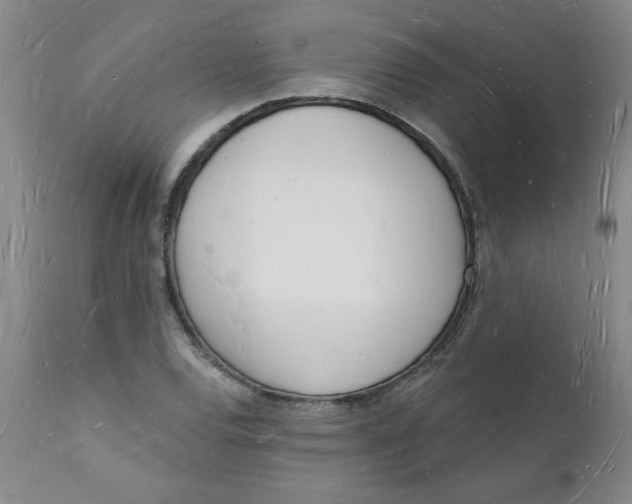 X0000112141120200908281310