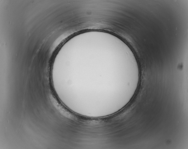 X0000112141122200908281310