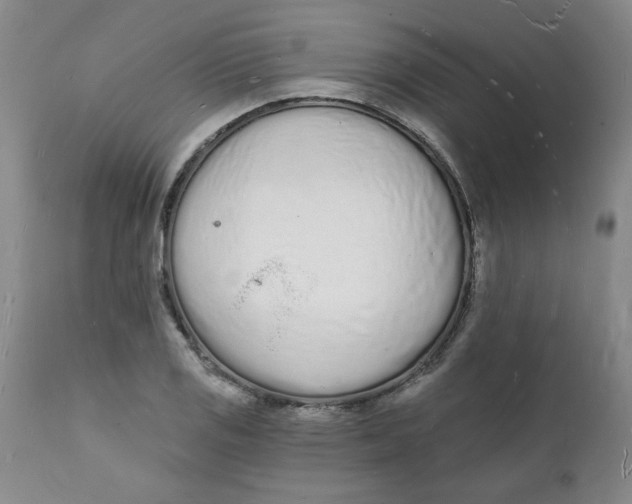 X0000112141125200908281310