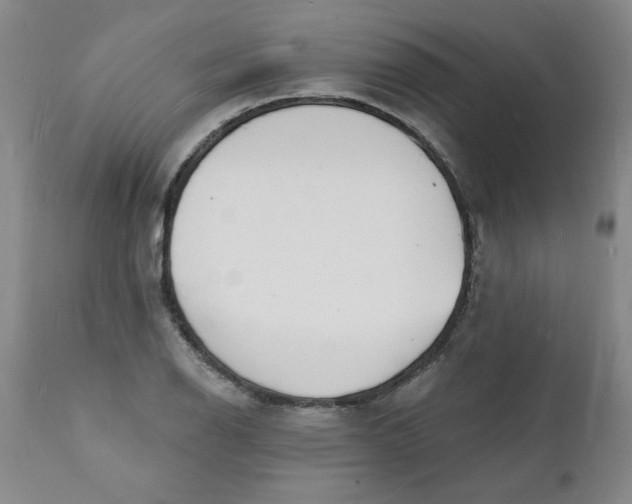 X0000112141126200908281310