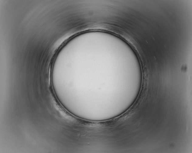 X0000112141127200908281310