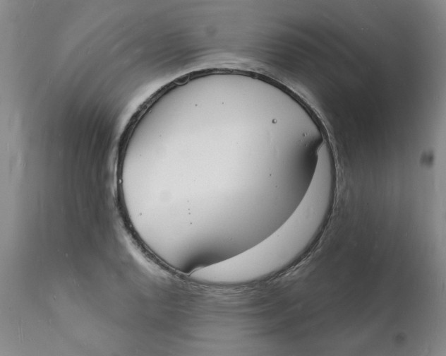 X0000112141128200908281310