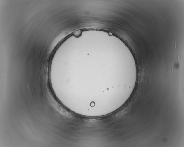 X0000112141130200908281310