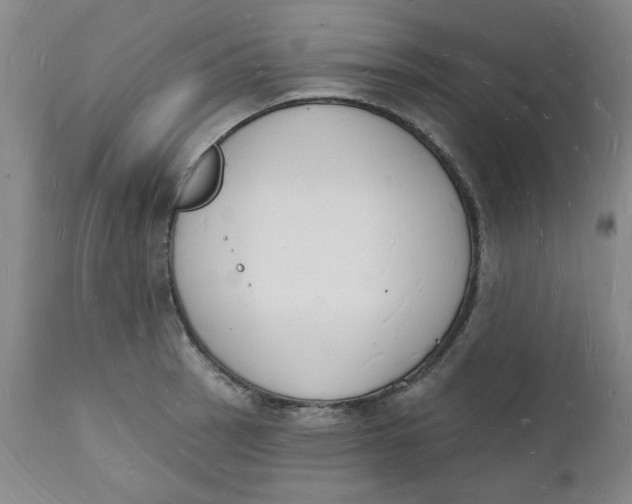 X0000112141137200908281310