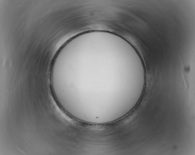 X0000112141141200908281310