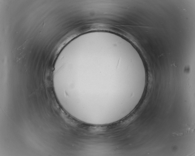 X0000112141145200908281311