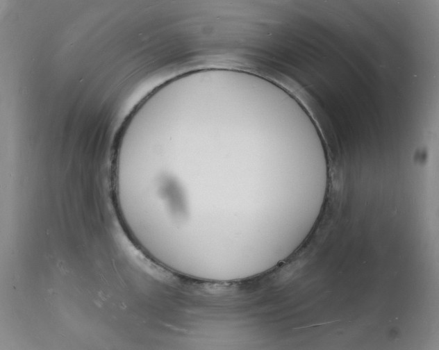 X0000112141147200908281311