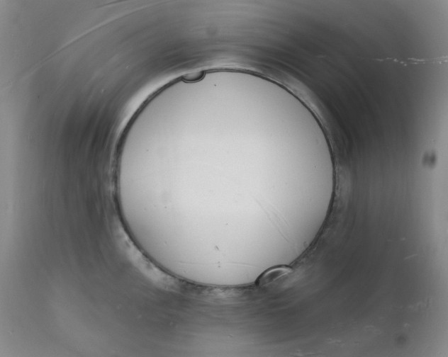 X0000112141148200908281311