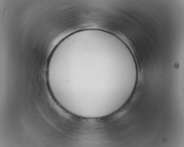 X0000112141149200908281311