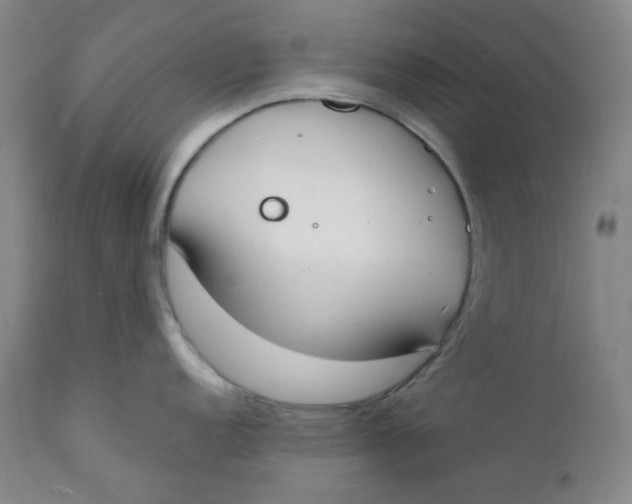 X0000112141152200908281311