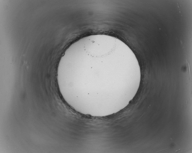 X0000112141153200908281310