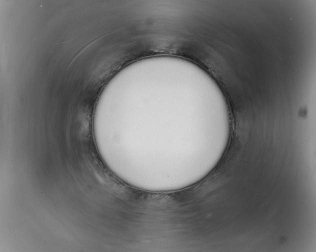 X0000112141154200908281310