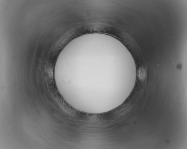 X0000112141155200908281310