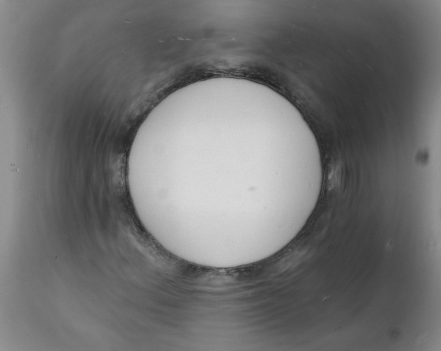 X0000112141156200908281310