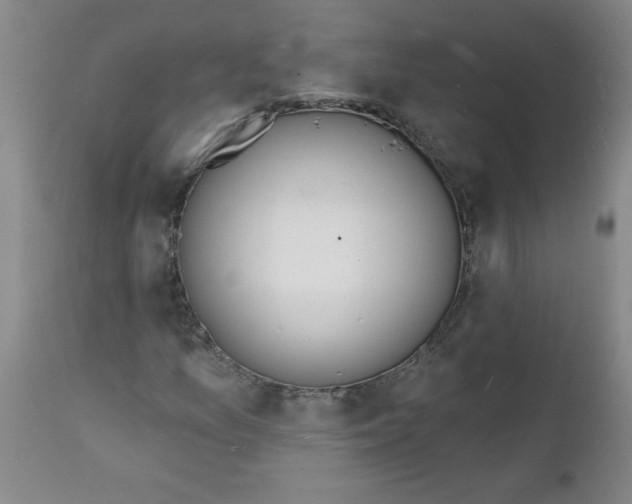 X0000112141157200908281310