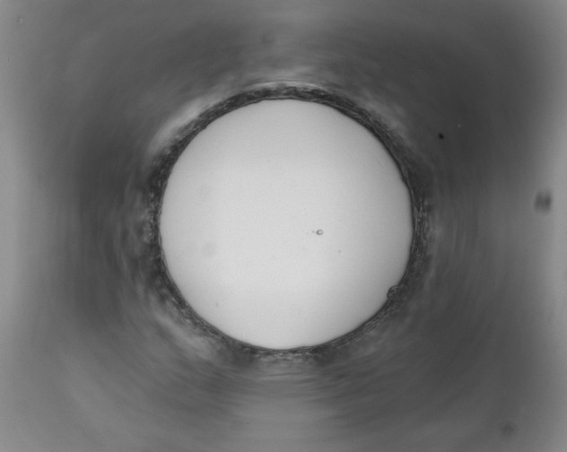 X0000112141159200908281310