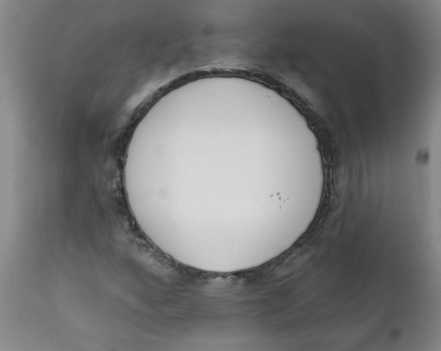 X0000112141160200908281310