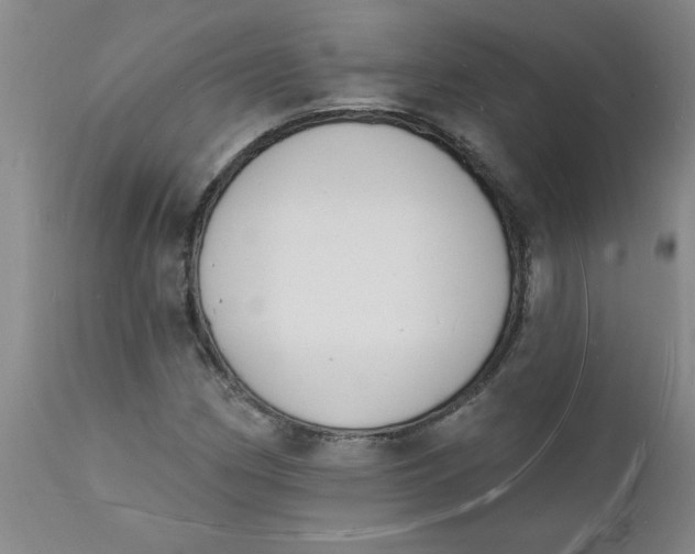 X0000112141162200908281310