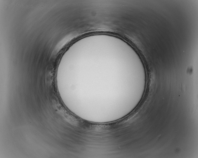 X0000112141163200908281310