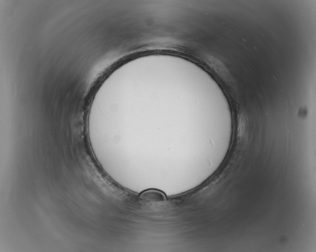 X0000112141164200908281310