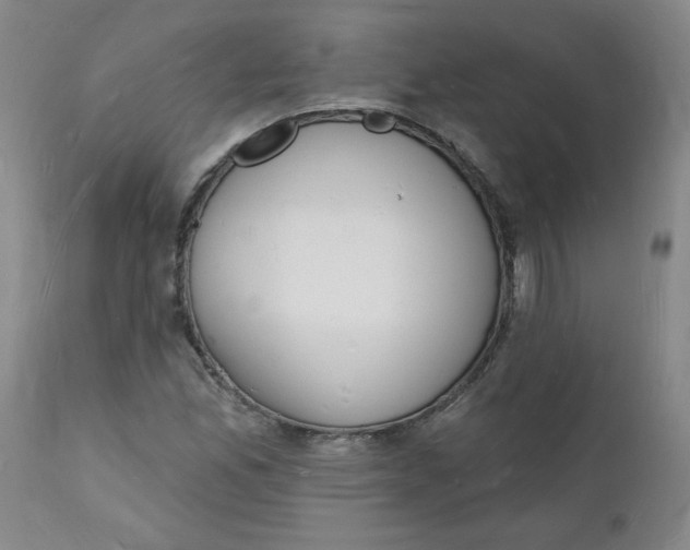 X0000112141165200908281310