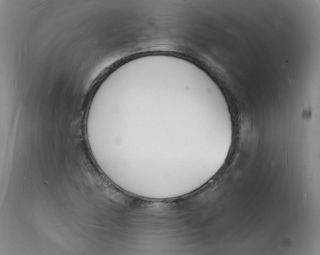 X0000112141166200908281310