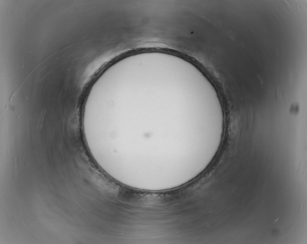 X0000112141167200908281310