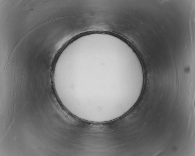 X0000112141168200908281310