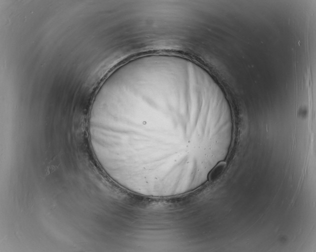 X0000112141169200908281310