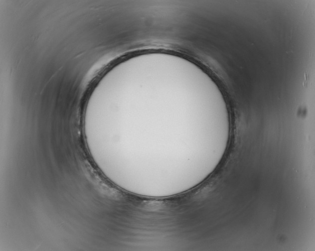 X0000112141172200908281310