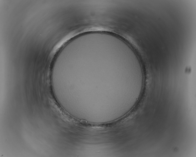 X0000112141173200908281310