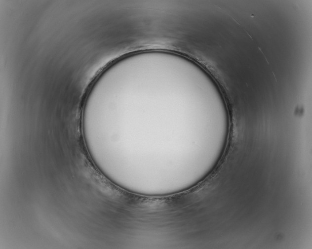 X0000112141174200908281310