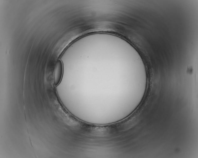 X0000112141177200908281310