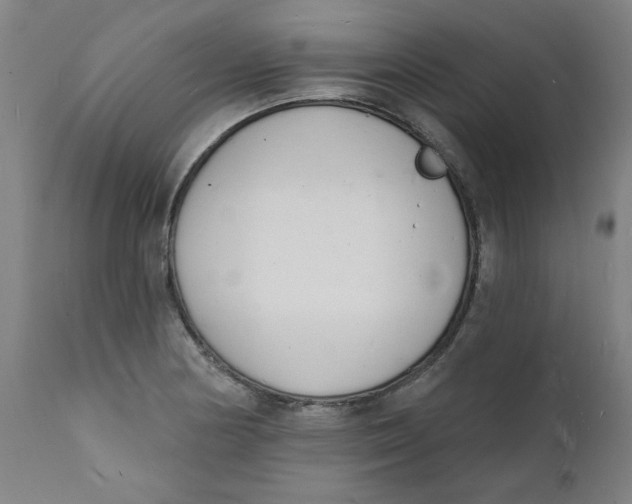 X0000112141178200908281310