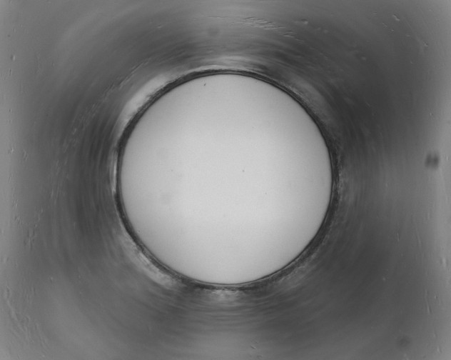 X0000112141180200908281310