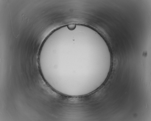 X0000112141182200908281310